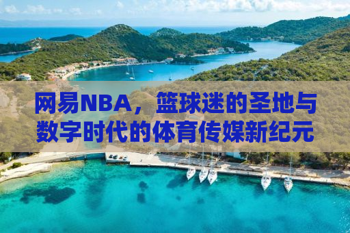 网易NBA，篮球迷的圣地与数字时代的体育传媒新纪元